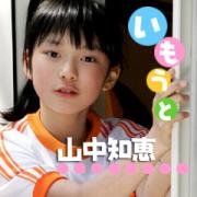 Rmb̃Cʐ^