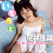 �Ԉ���؂̃��C���ʐ^