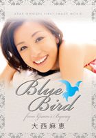 吼b uBlue Bird `from GUAM̎ʐ^